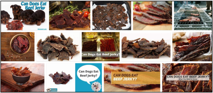 Kunnen honden beef jerky eten? Leer de ongelooflijke waarheid