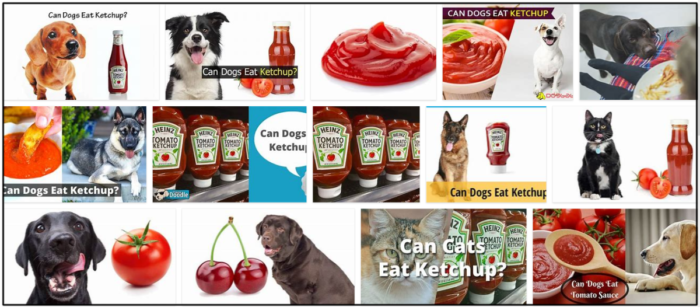 Os cães podem comer ketchup? Descubra a verdade agora