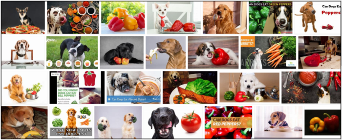 Kunnen honden peper eten? Vinden ze het zelfs leuk of niet