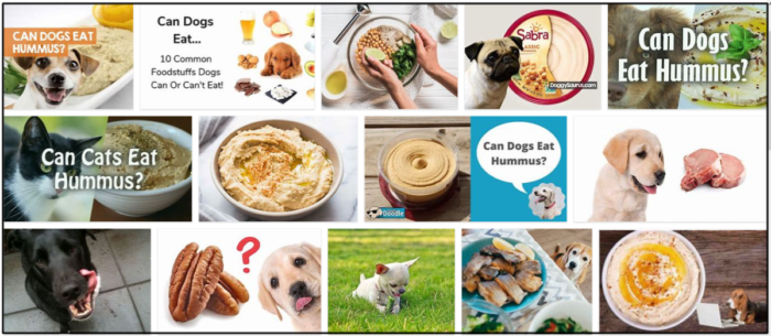 Kunnen honden hummus eten? Leer de ongelooflijke waarheid
