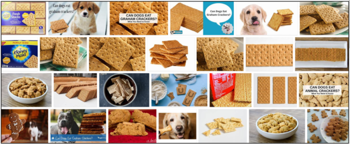 Kunnen honden Graham-crackers eten? Je moet het lezen voordat je het invoert