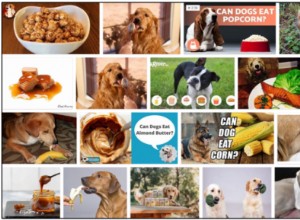 Můžou psi jíst karamel? Je karamel výživný pro vašeho přítele