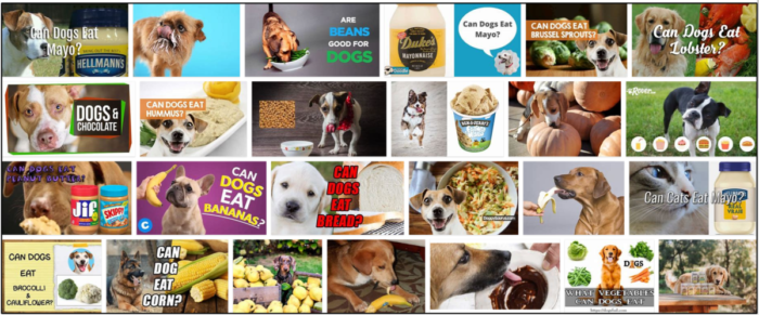 Les chiens peuvent-ils manger de la mayonnaise ? Apprenez l incroyable vérité à ce sujet