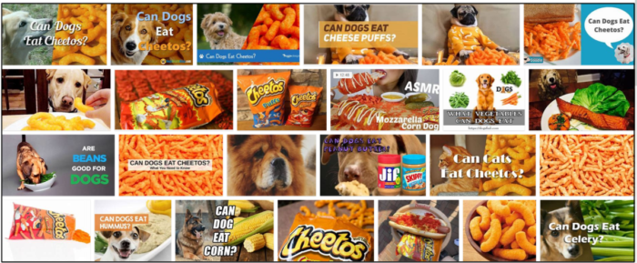 Kan hundar äta cheetos? Mata dem inte innan du läser det