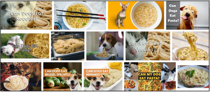 犬は麺を食べることができますか？彼らの食事療法のためにそれは健康であるかどうか 