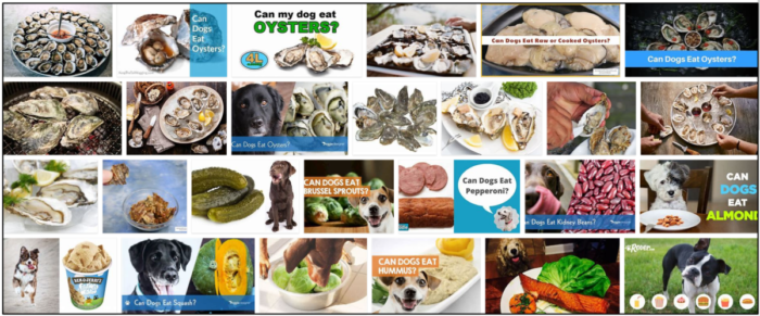 Kunnen honden oesters eten? Hoe u op hun dieet kunt letten