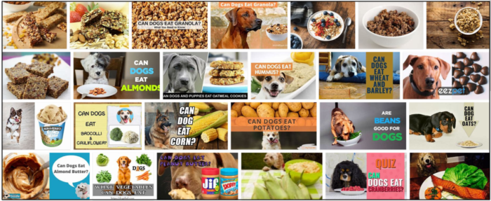 Můžou psi jíst granolu? Důležitá fakta, o kterých se musíte dozvědět