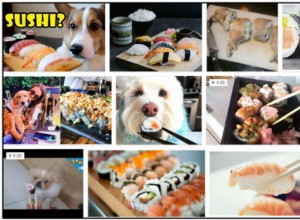 Os cães podem comer sushi? Não os alimente antes de ler