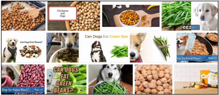 Kunnen honden kekerbonen eten? Moet je eten of juist vermijden