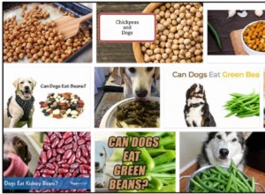 Můžou psi jíst fazole Garbanzo? Měli byste krmit nebo byste se měli vyhýbat