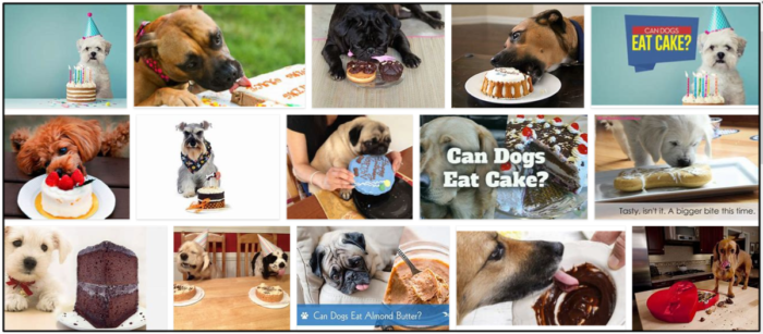 Cães podem comer bolo? A melhor abordagem para alimentar seu amigo