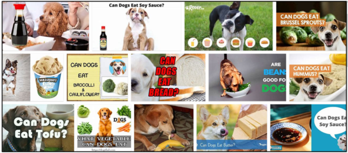 I cani possono mangiare la soia? Dai un occhiata ai nostri consigli degli esperti