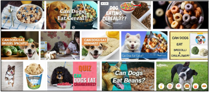 Os cães podem comer cereais? As regras que você deve conhecer