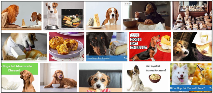 Os cães podem comer macarrão com queijo? Aqui está tudo o que você precisa saber sobre isso