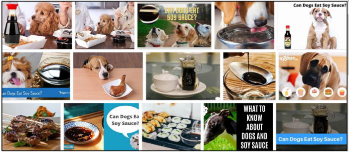 Os cães podem comer molho de soja? Descubra a verdade agora