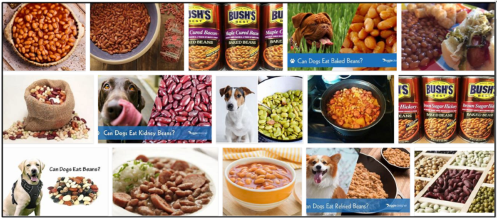 개는 구운 콩을 먹을 수 있습니까? 전문가의 조언을 살펴보십시오.