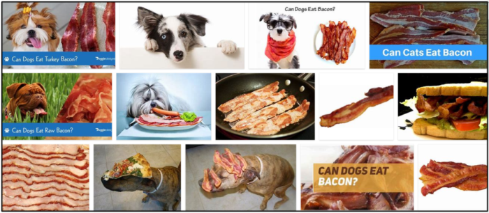 Kan hundar äta kalkonbacon? Svar på alla dina frågor för en hälsosam kost