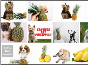Могут ли собаки есть ананасы? Все, что вам нужно знать