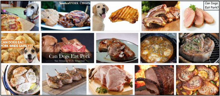 I cani possono mangiare le costolette di maiale? Un ottima fonte da leggere prima di alimentare