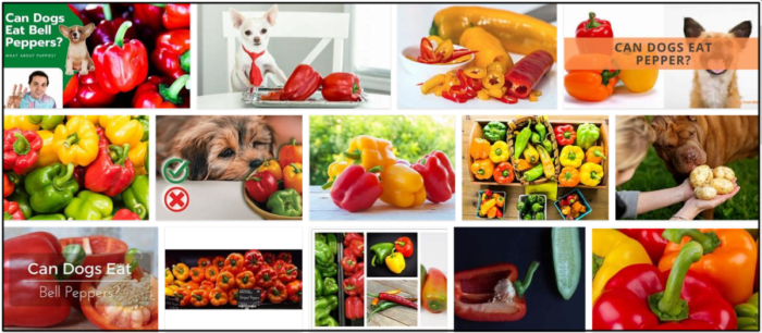Můžou psi jíst sladké papriky? Nekrmte je, než si to přečtete