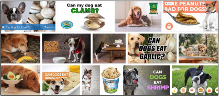 犬はアサリを食べることができますか？