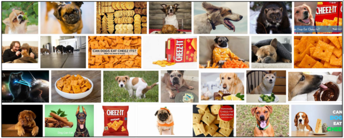 Kunnen honden Cheez Its eten? Alles wat u moet weten