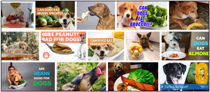 개는 와사비를 먹을 수 있습니까? 건강한 식단을 위한 모든 질문에 대한 답변