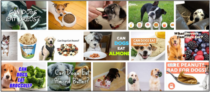Kan hundar äta oreos? En bra källa att läsa innan du matar