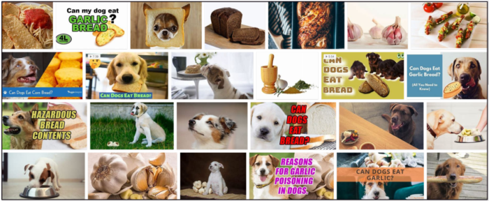 Les chiens peuvent-ils manger du pain à l ail ? Est-ce sain pour leur alimentation ou non