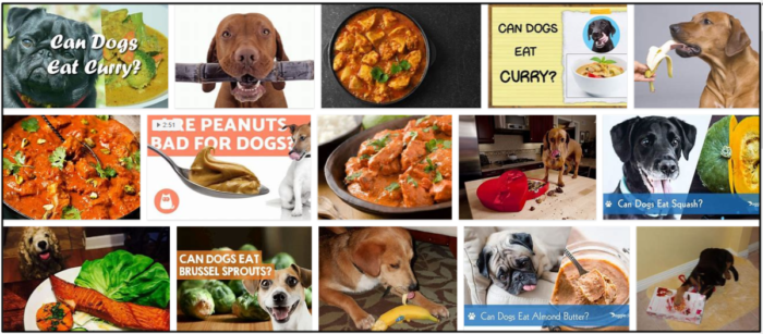 Les chiens peuvent-ils manger du curry ? Découvrez la vérité maintenant