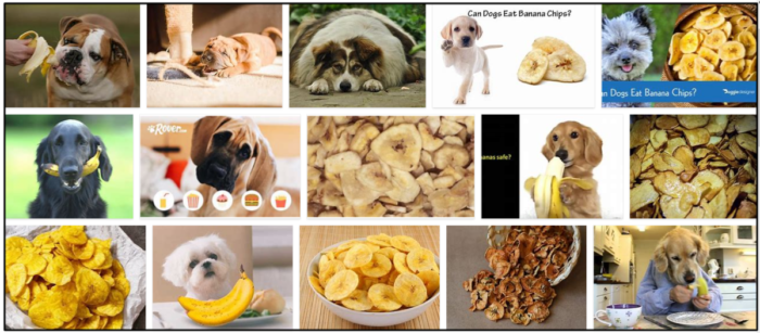 Můžou psi jíst banánové lupínky? Vše, co potřebujete vědět