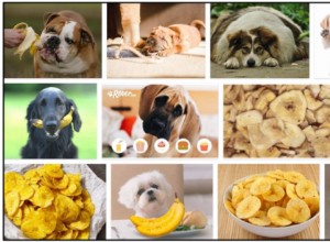 犬はバナナチップを食べることができますか？あなたが知る必要があるすべて 