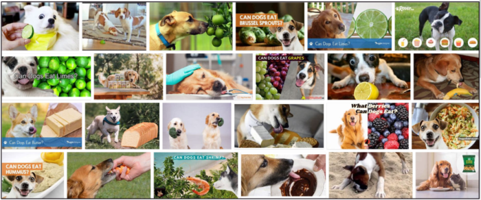 Kunnen honden limoen eten? Een bron van informatie over