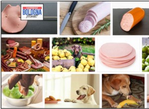 Os cães podem comer bolonha? Como evitar uma possível desnutrição