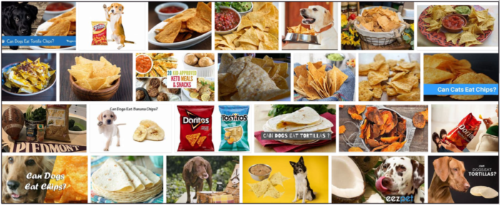 Můžou psi jíst tortillové chipsy? Pravidla, která byste měli znát