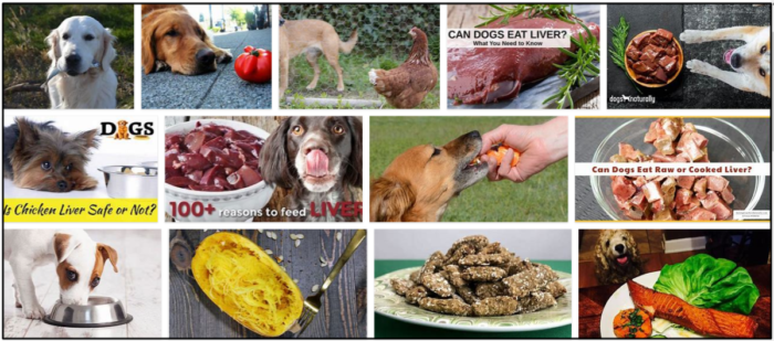 Os cães podem comer fígado? Não os alimente antes de ler