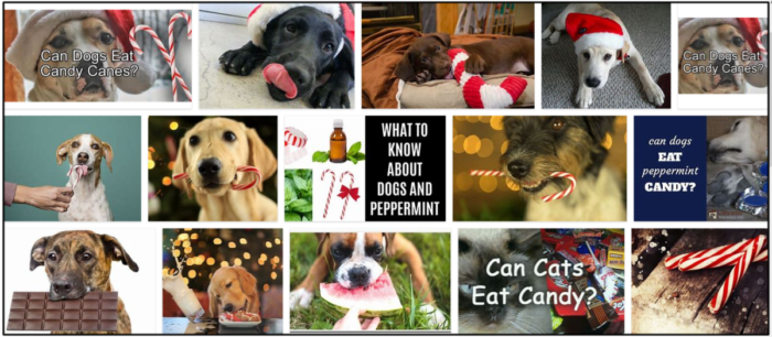 犬はキャンディケインを食べることができますか？彼らの食事療法に気をつける方法 