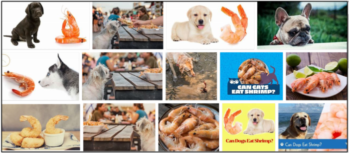 Les chiens peuvent-ils manger des crevettes cuites ? Comment nourrir votre ami en toute sécurité