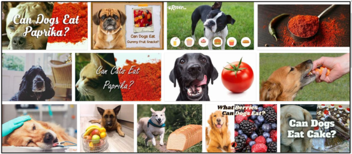 I cani possono mangiare la paprika? È sicuro per loro o no
