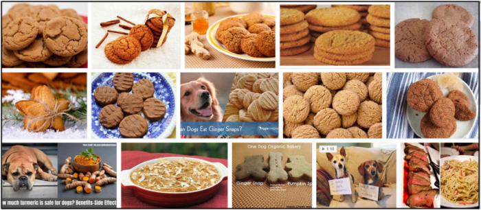 I cani possono mangiare i biscotti allo zenzero? Va bene per loro o no