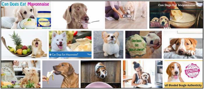 I cani possono mangiare la maionese? Risposte a tutte le tue domande per una dieta sana