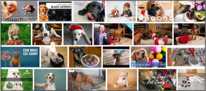 Kunnen honden snoep eten? Een fascinerend kijkje achter de schermen