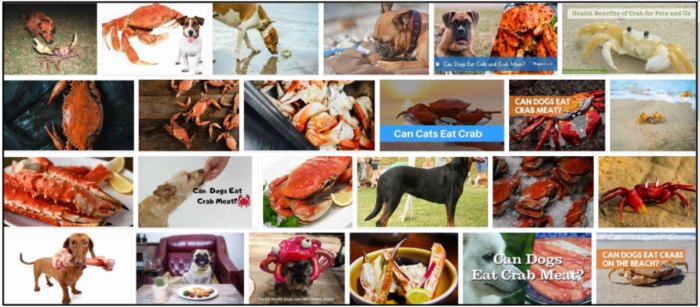 Les chiens peuvent-ils manger de la chair de crabe ? Apprenez à nourrir votre animal avec précision