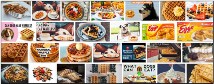 I cani possono mangiare i waffle? Dai un occhiata ai nostri consigli degli esperti