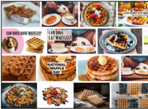 Os cães podem comer waffles? Dê uma olhada em nossas dicas de especialistas