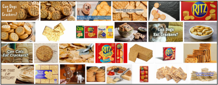 Kunnen honden Ritz Crackers eten? Antwoorden op al uw vragen over een gezond dieet