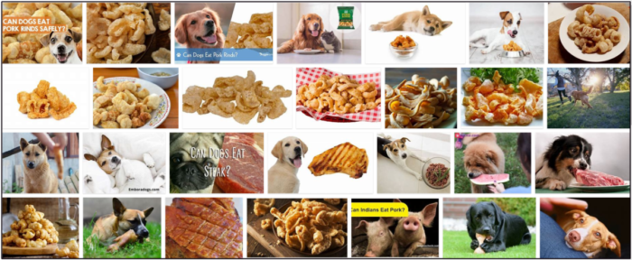 Kunnen honden varkenszwoerd eten? Hoe u uw vriend veilig kunt voeden