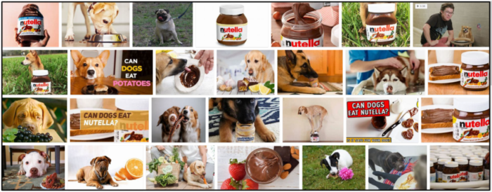 Os cães podem comer Nutella? Como cuidar da dieta deles