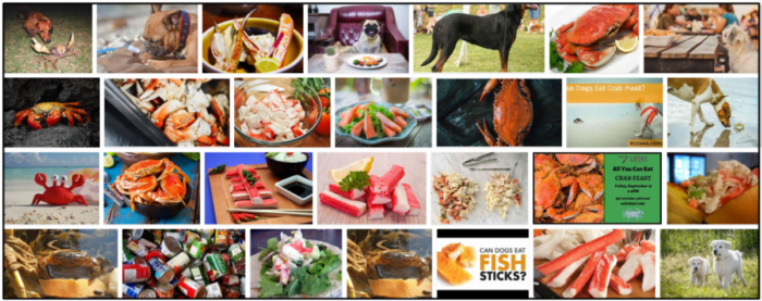 Cães podem comer caranguejo de imitação? Dê uma olhada em nossas dicas de especialistas