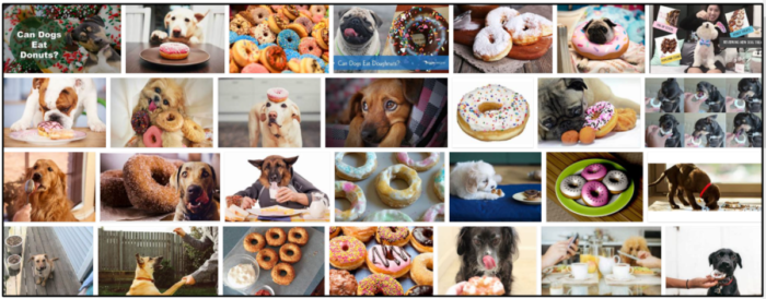 Kunnen honden donuts eten? Een bron van informatie over